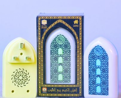 প্লাগ ইন কুরআন